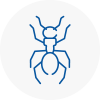 Ant Removals In Felling