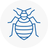 Bed Bug Extermination In Felling