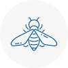 Bee Nest Removal Felling