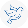 Bird Prevention Felling