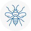 Felling Hornet Nest Removals