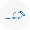 Mice Exterminators In Felling