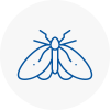 Moth Control Specialists In Felling