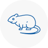 Rat Control Felling