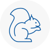 Felling Rodent Removals