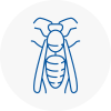 Felling Wasp Nest Removal